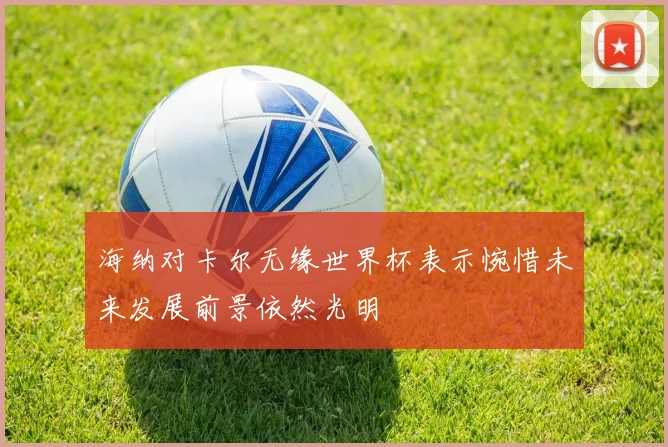 海纳对卡尔无缘世界杯表示惋惜未来发展前景依然光明